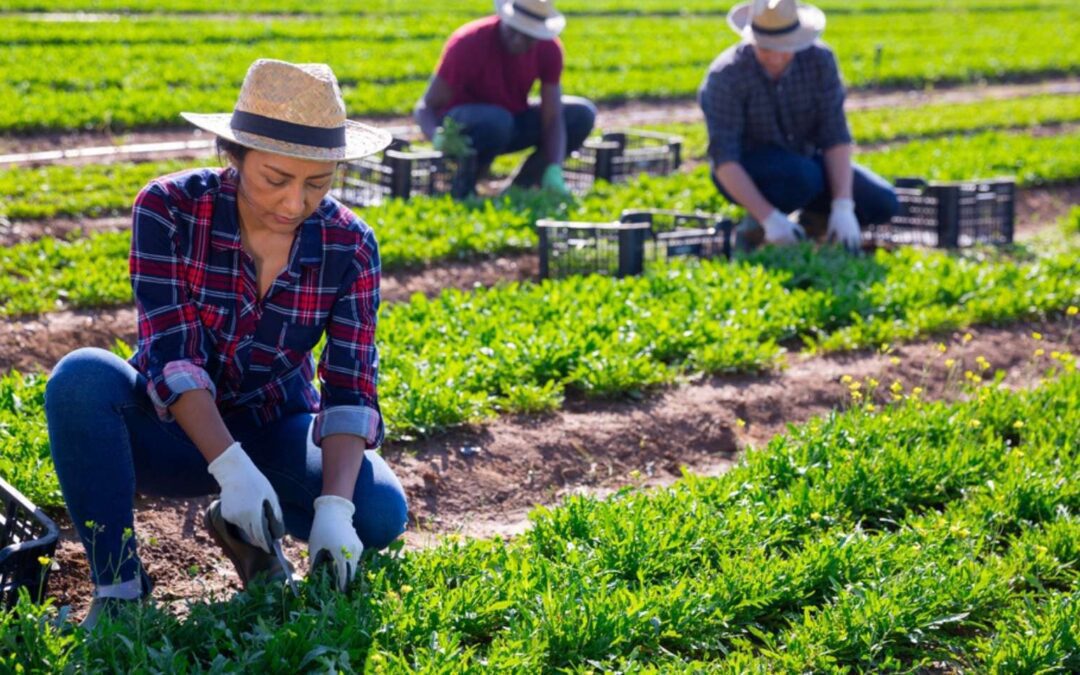 Clean Labor Recruiting Safeguards the Rights of Female Workers